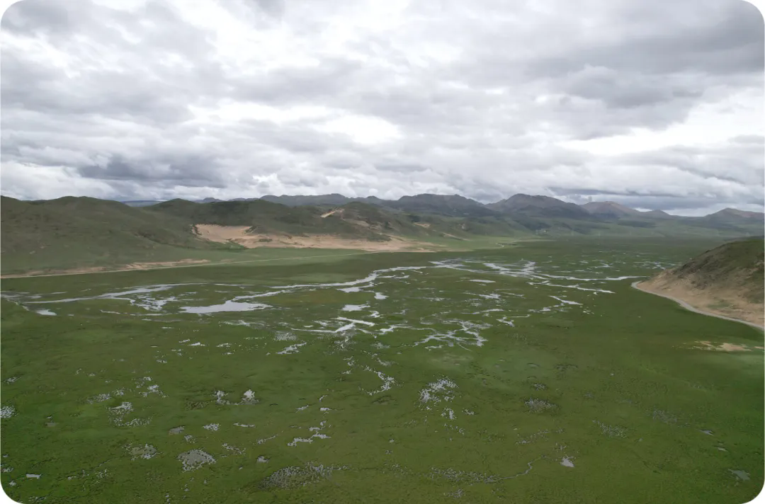 1738737315701745.png 61.webp.png