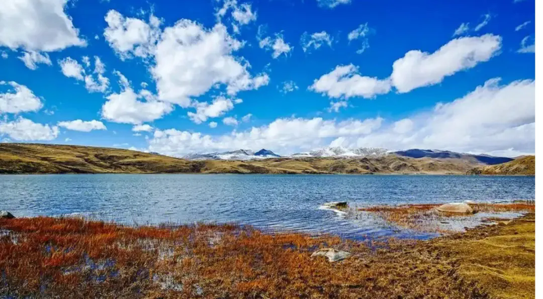 1738737418953138.png 63.webp.png