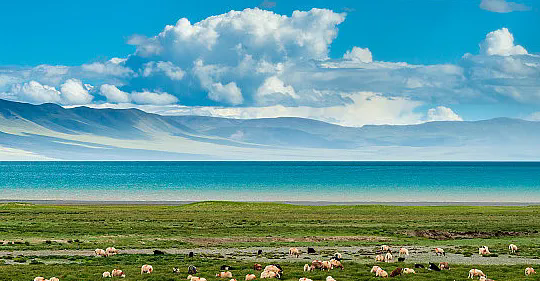 1751856500768158.png 51.webp.png