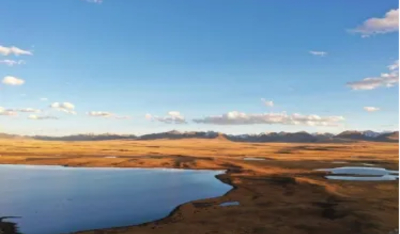 1769740602170141.jpg 25.jpg