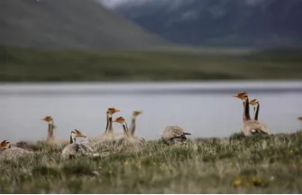 1769741047548838.jpg 21.jpg