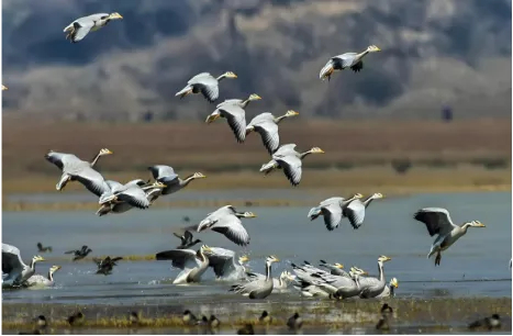 1769741067386581.jpg 22.jpg