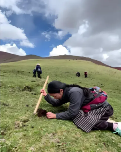 1771902369643114.png 22.webp.png